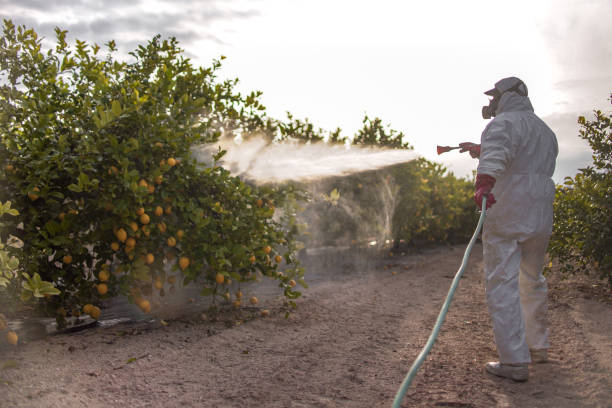 Best Bird Control  in Nyssa, OR