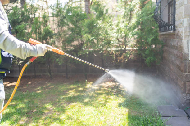 Trusted Nyssa, OR Pest Control Experts