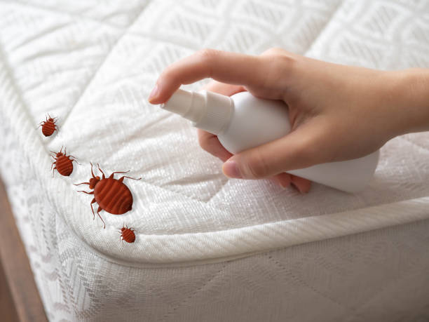 Best Pest Control for Homes  in Nyssa, OR